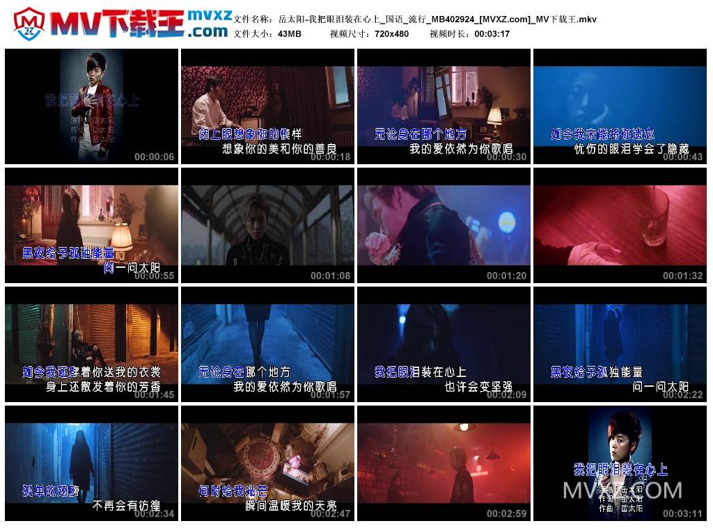 岳太阳-我把眼泪装在心上_国语_流行_MB402924